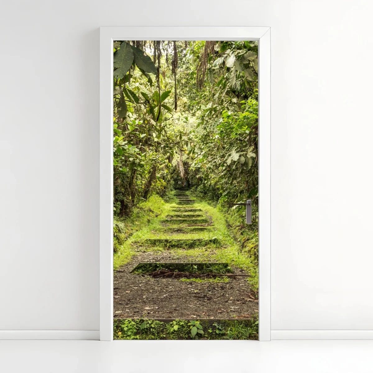 Pegatina para puerta sendero entre la selva tropical – Pixers® Pegatina para puerta sendero entre la selva tropical – Pixers®