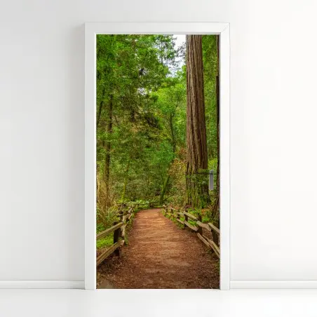 Pegatina para puerta sendero entre secuoyas milenarias – Pixers®
