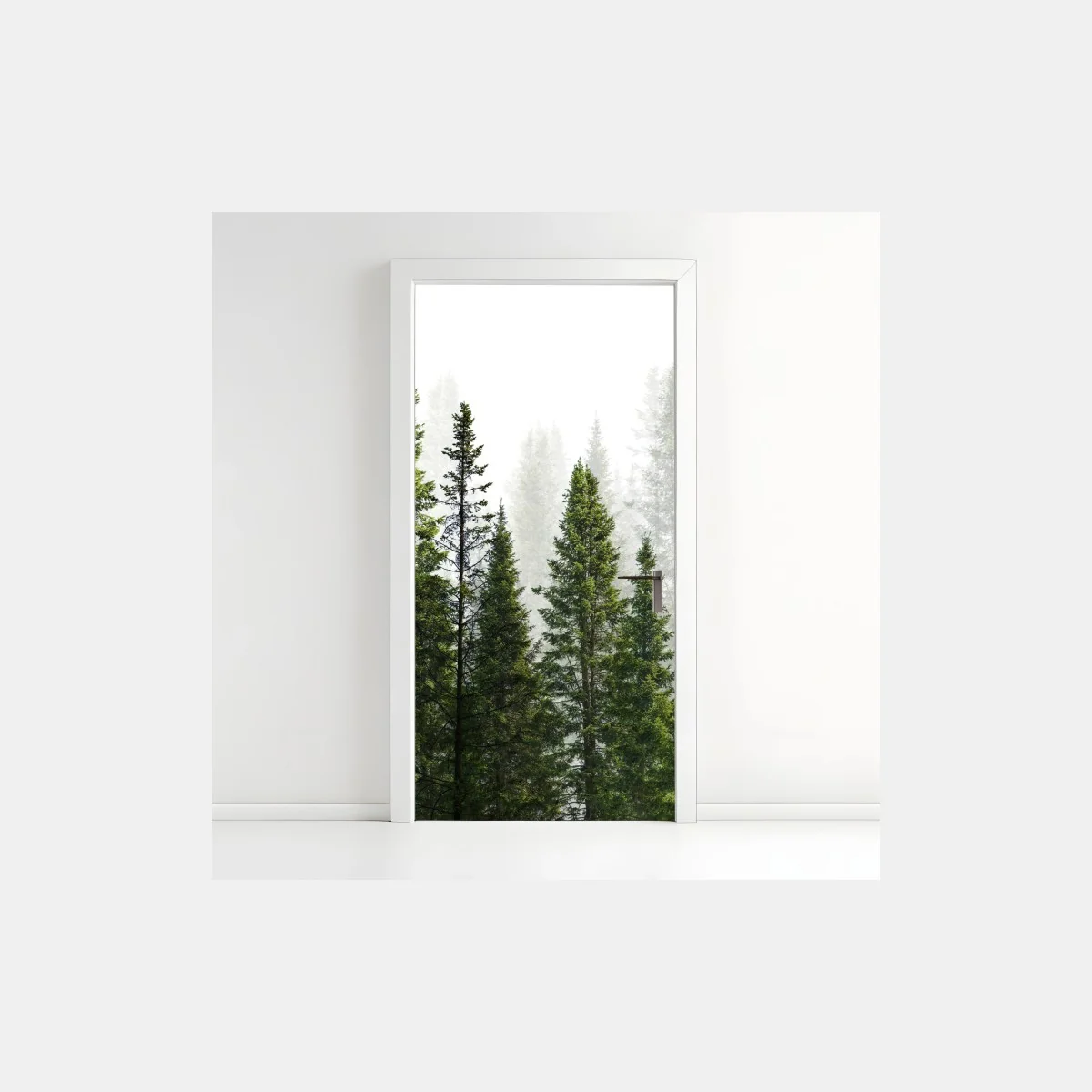 Pegatina para puerta bosque de abetos en niebla – Pixers® Pegatina para puerta bosque de abetos en niebla – Pixers®