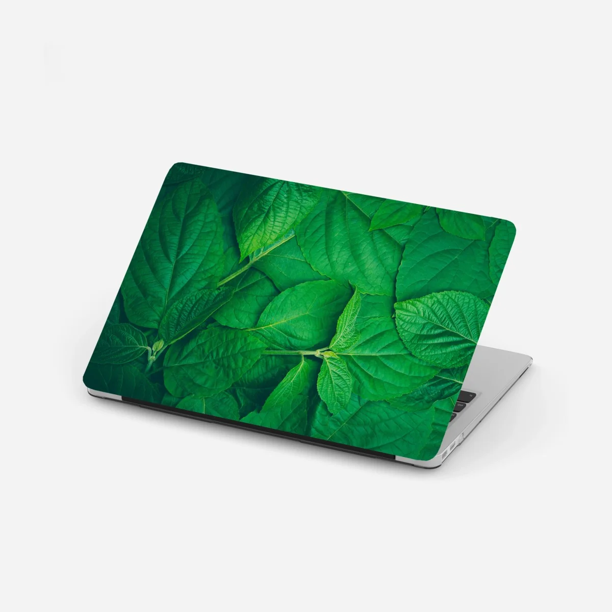 Pegatina para portátil textura de hojas verdes – Pixers® Pegatina para portátil textura de hojas verdes – Pixers®