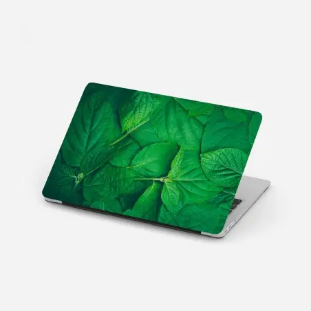 Pegatina para portátil textura de hojas verdes – Pixers®