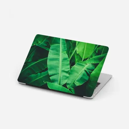 Pegatina para portátil hojas de plátano tropicales en verde intenso – Pixers®
