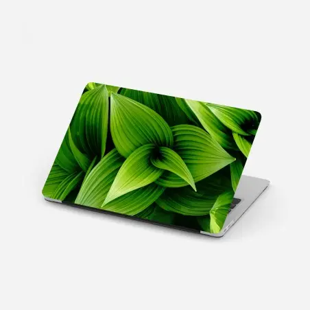 Pegatina para portátil follaje verde en capas – Pixers®