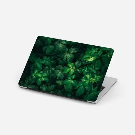 Pegatina para portátil follaje verde profundo con gotas de lluvia – Pixers®