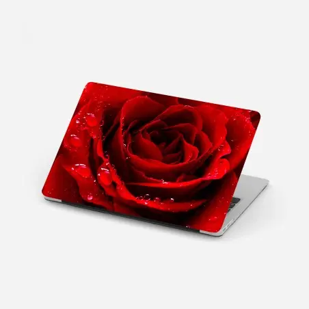 Pegatina para portátil rosa roja en primer plano con gotas de rocío – Pixers®