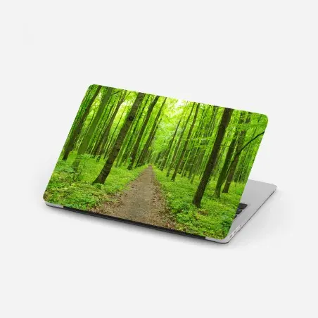 Pegatina para portátil sendero verde en bosque primaveral – Pixers®