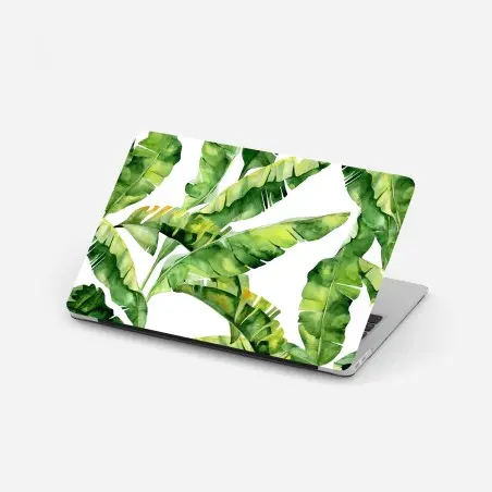 Pegatina para portátil hojas de plátano en acuarela – Pixers®