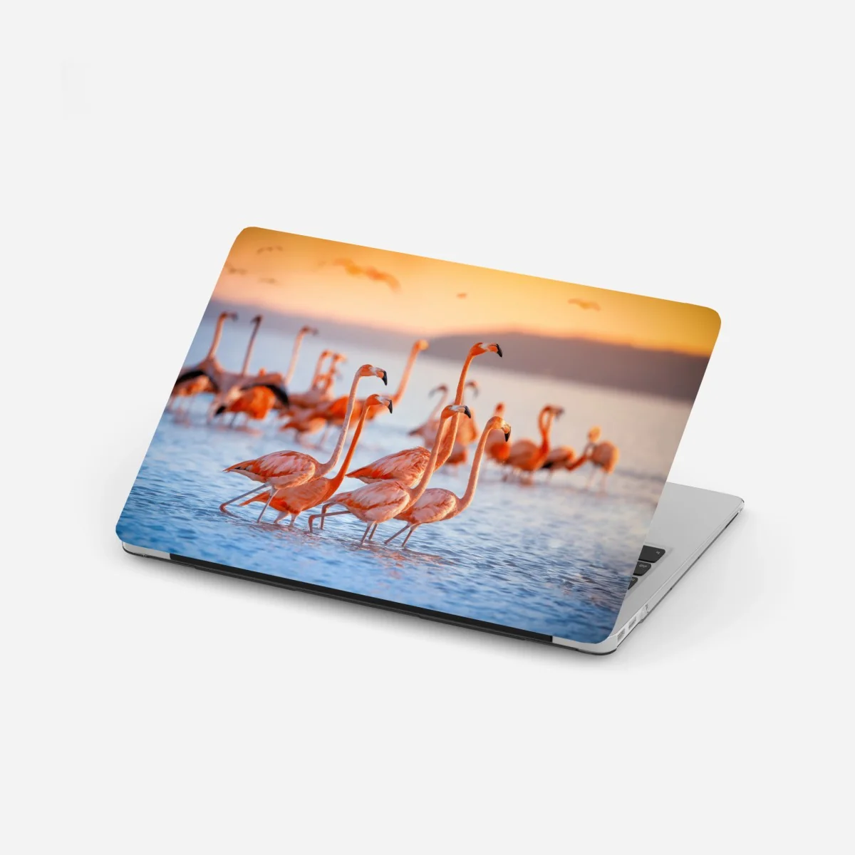 Pegatina para portátil flamencos al atardecer sobre aguas tranquilas – Pixers® Pegatina para portátil flamencos al atardecer sobre aguas tranquilas – Pixers®