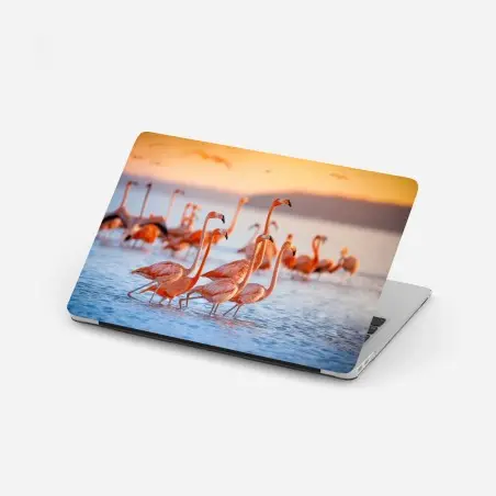 Pegatina para portátil flamencos al atardecer sobre aguas tranquilas – Pixers®