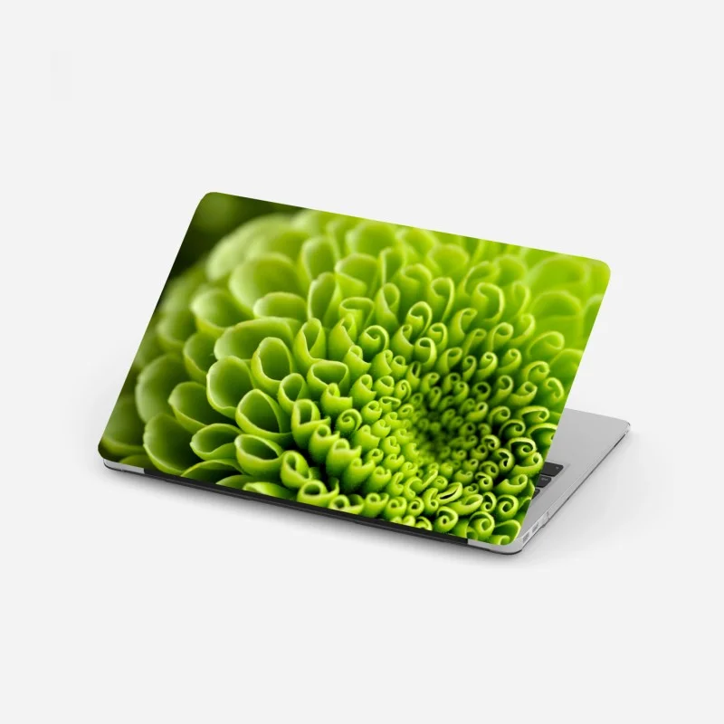 Pegatina para portátil patrón botánico verde en espiral