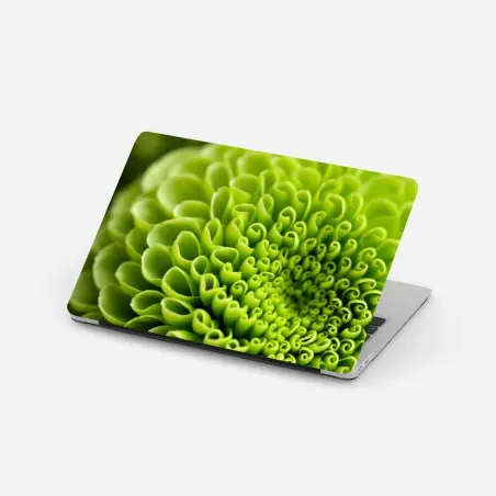 Pegatina para portátil patrón botánico verde en espiral – Pixers®