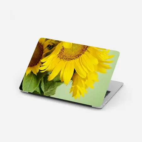 Pegatina para portátil girasoles luminosos sobre fondo verde – Pixers®