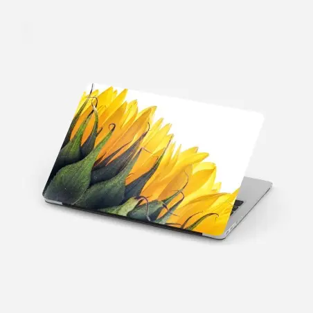 Pegatina para portátil girasol en primer plano sobre fondo blanco – Pixers®