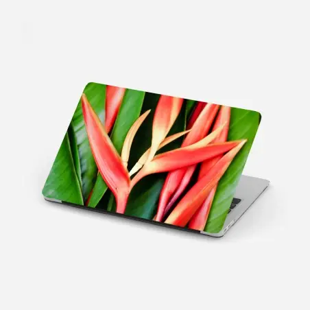 Pegatina para portátil composición tropical de heliconias rojas – Pixers®