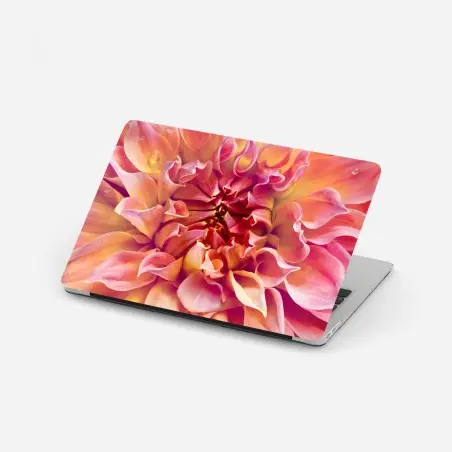 Pegatina para portátil dalia rosa y melocotón en primer plano – Pixers®