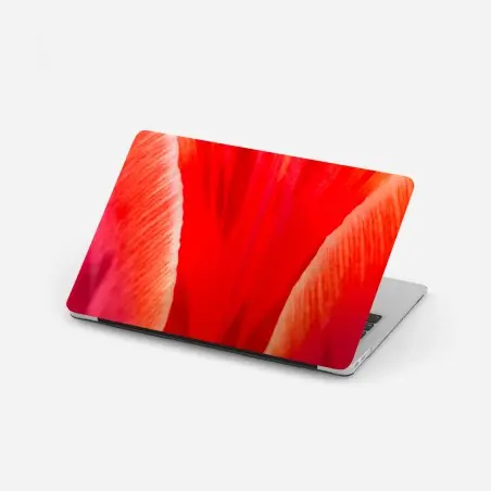 Pegatina para portátil tulipán rojo en primer plano – Pixers®
