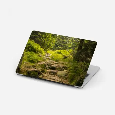 Pegatina para portátil sendero rocoso entre pinos – Pixers®