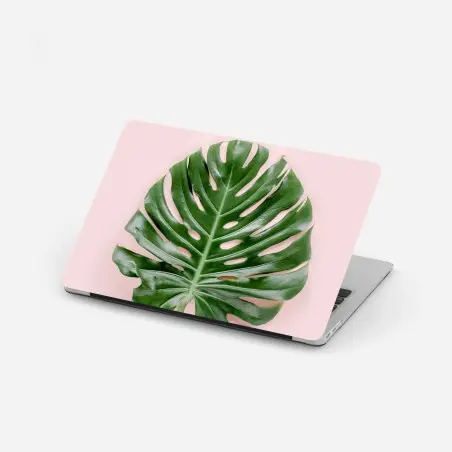 Pegatina para portátil hoja de monstera sobre fondo rosa – Pixers®