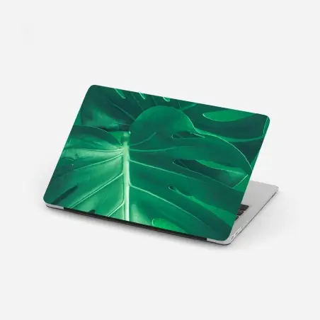 Pegatina para portátil hoja de monstera en primer plano sobre fondo verde – Pixers®