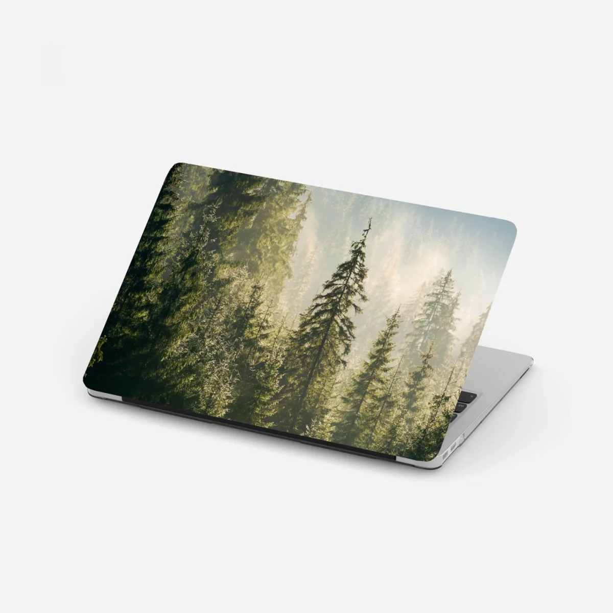Pegatina para portátil bosque de abetos en la niebla matutina – Pixers® Pegatina para portátil bosque de abetos en la niebla matutina – Pixers®
