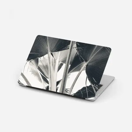 Pegatina para portátil hojas de palma en abanico – Pixers®
