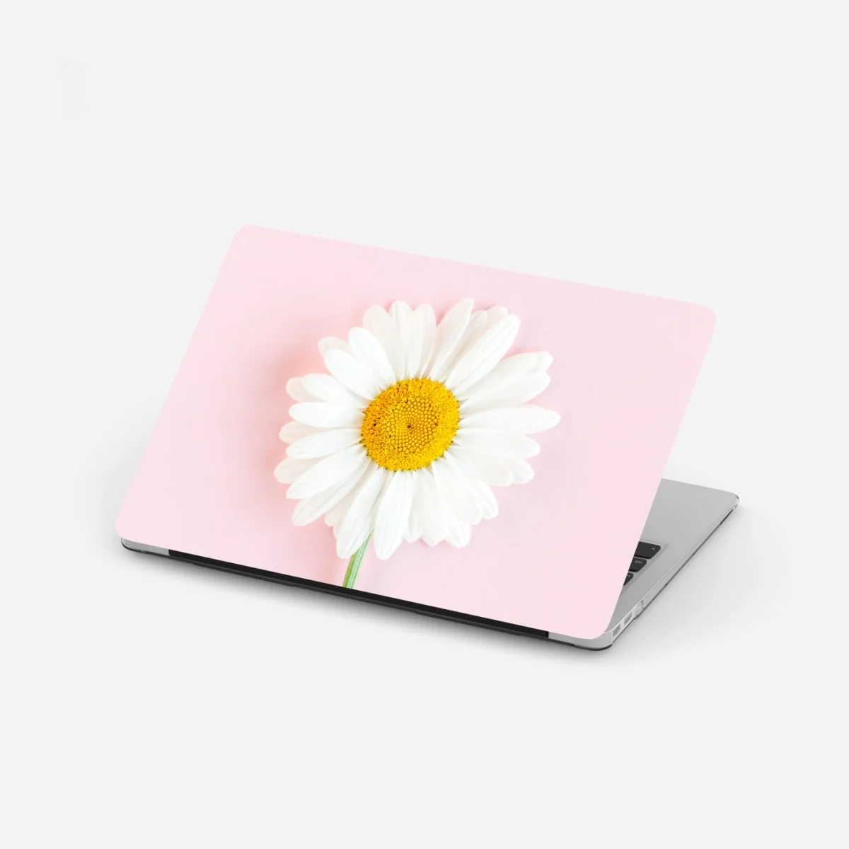 Pegatina para portátil margarita sobre fondo rosa minimalista – Pixers® Pegatina para portátil margarita sobre fondo rosa minimalista – Pixers®