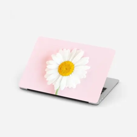 Pegatina para portátil margarita sobre fondo rosa minimalista – Pixers®