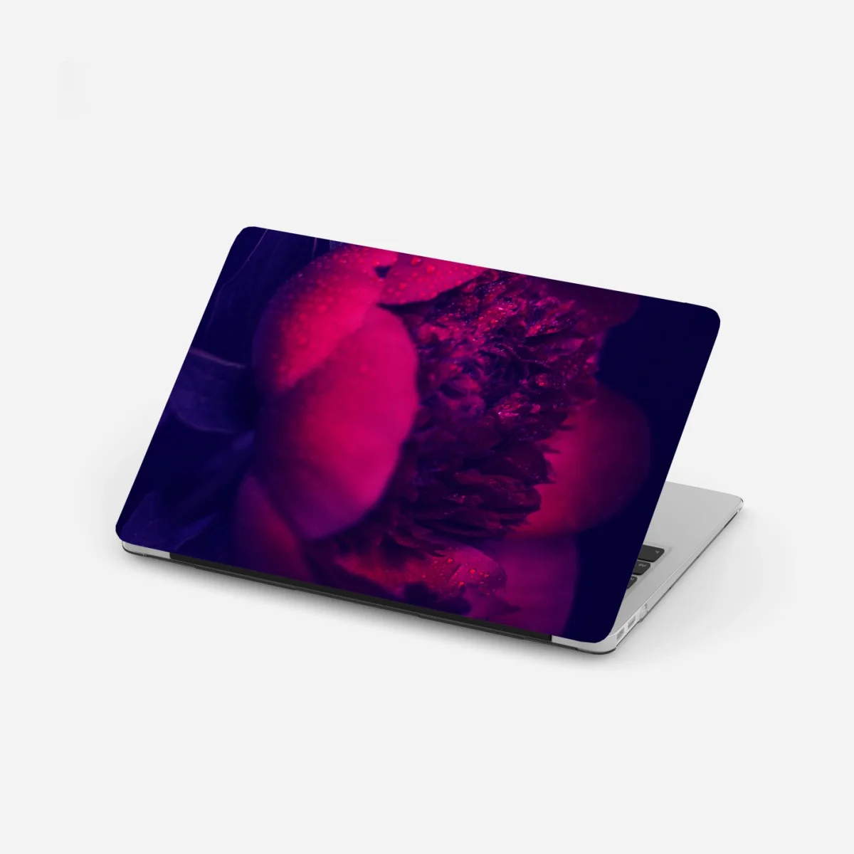 Pegatina para portátil peonía nocturna con gotas – Pixers® Pegatina para portátil peonía nocturna con gotas – Pixers®