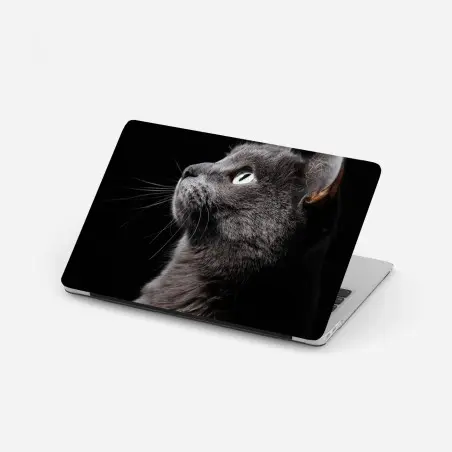 Pegatina para portátil perfil elegante de gato gris mirando la luz – Pixers®