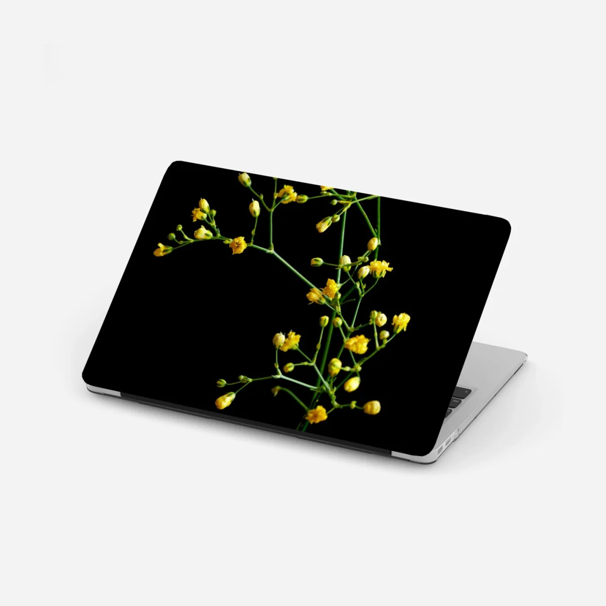Pegatina para portátil paniculata amarilla sobre fondo negro – Pixers® Pegatina para portátil paniculata amarilla sobre fondo negro – Pixers®