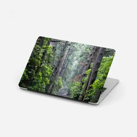 Pegatina para portátil sendero de piedra en bosque milenario – Pixers®