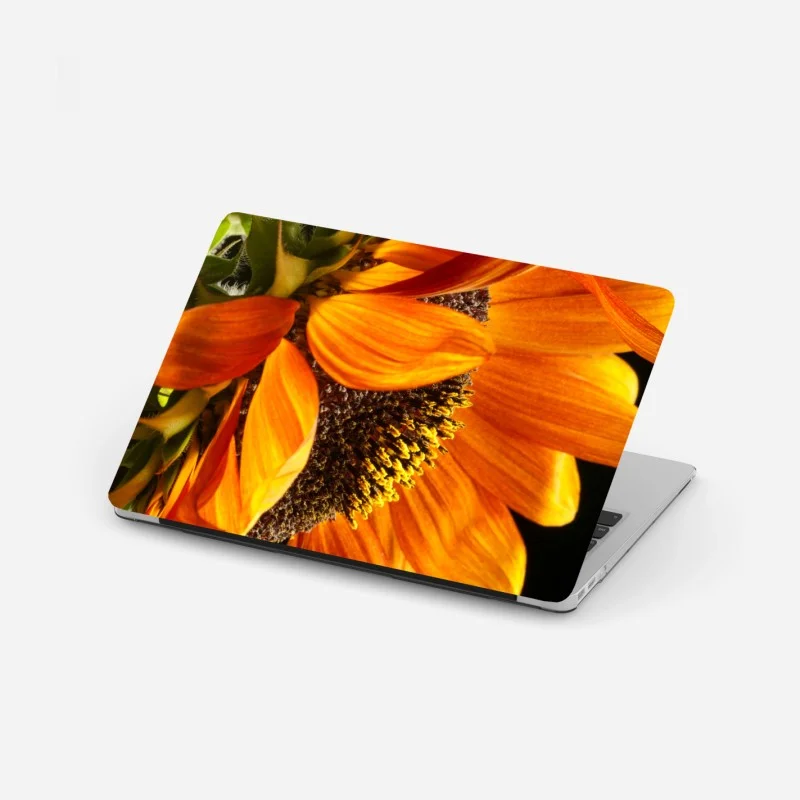 Pegatina para portátil girasol naranja en primer plano