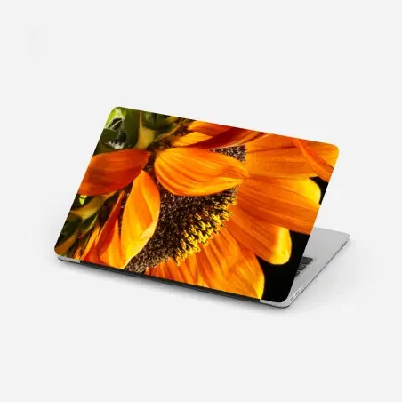 Pegatina para portátil girasol naranja en primer plano – Pixers®