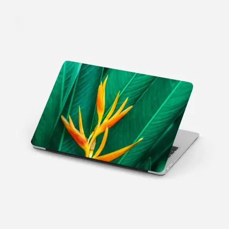 Pegatina para portátil flor tropical vibrante sobre follaje verde – Pixers®