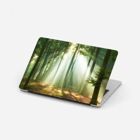 Pegatina para portátil luz entre los árboles al amanecer – Pixers®