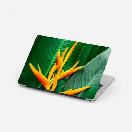 Pegatina para portátil flor tropical vibrante sobre follaje verde – Pixers®