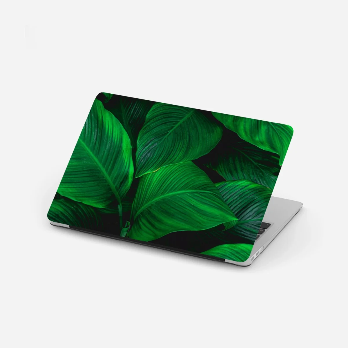 Pegatina para portátil follaje tropical en tonos verdes intensos – Pixers® Pegatina para portátil follaje tropical en tonos verdes intensos – Pixers®