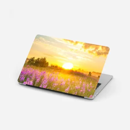 Pegatina para portátil amanecer en pradera florecida – Pixers®