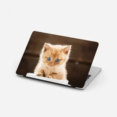 Pegatina para portátil gatito pelirrojo en taza sobre fondo rústico – Pixers®