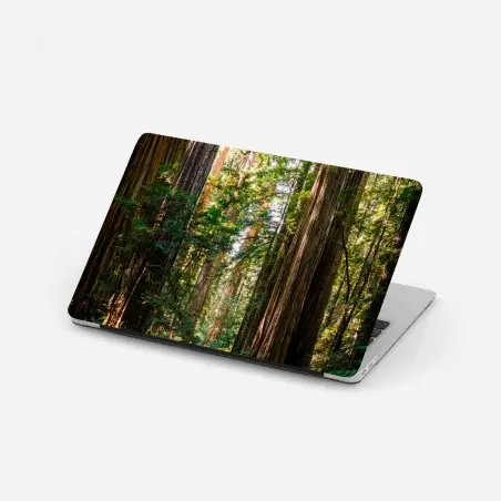 Pegatina para portátil sendero entre majestuosas secuoyas – Pixers®