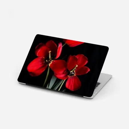 Pegatina para portátil arreglo de tulipanes rojos sobre fondo negro – Pixers®