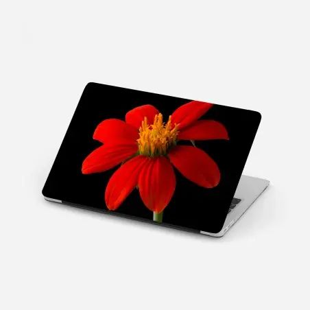 Pegatina para portátil girasol mexicano rojo sobre fondo negro – Pixers®