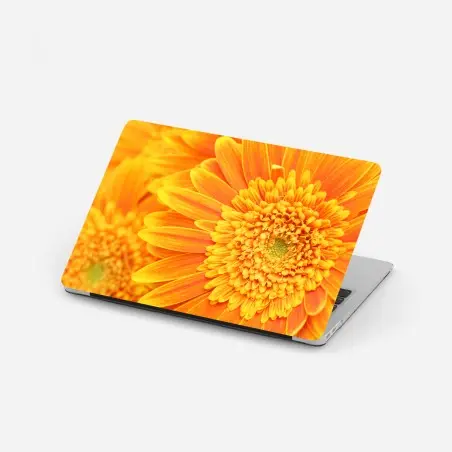 Pegatina para portátil vibrante gerbera naranja en primer plano – Pixers®