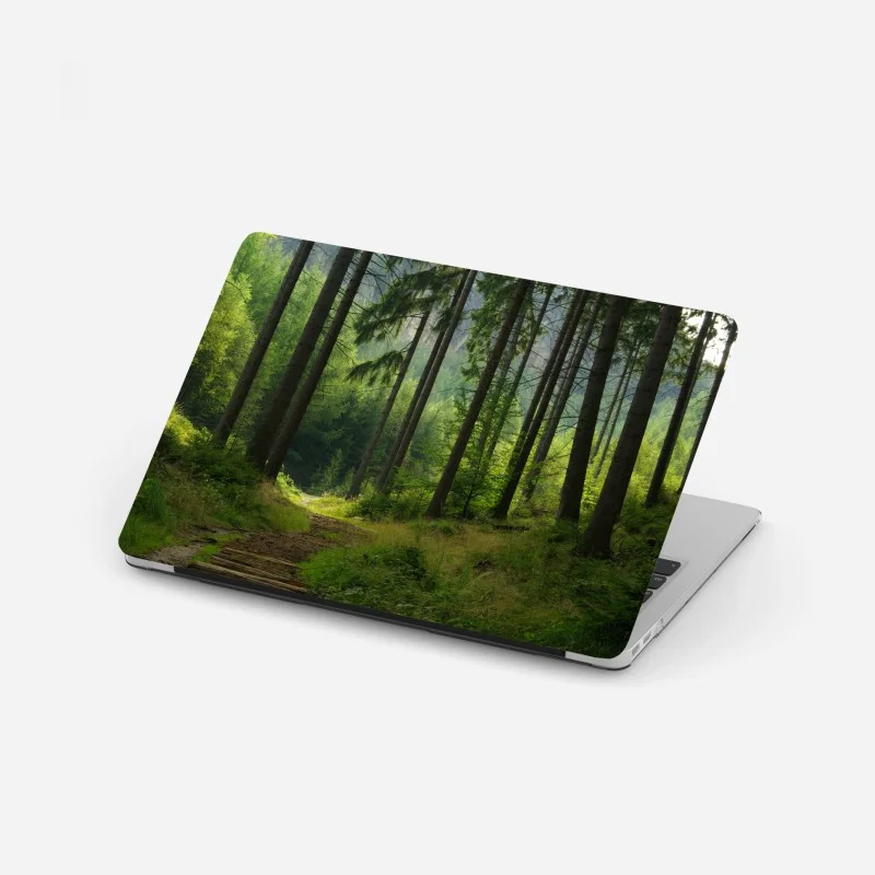 Pegatina para portátil sendero en bosque de pinos