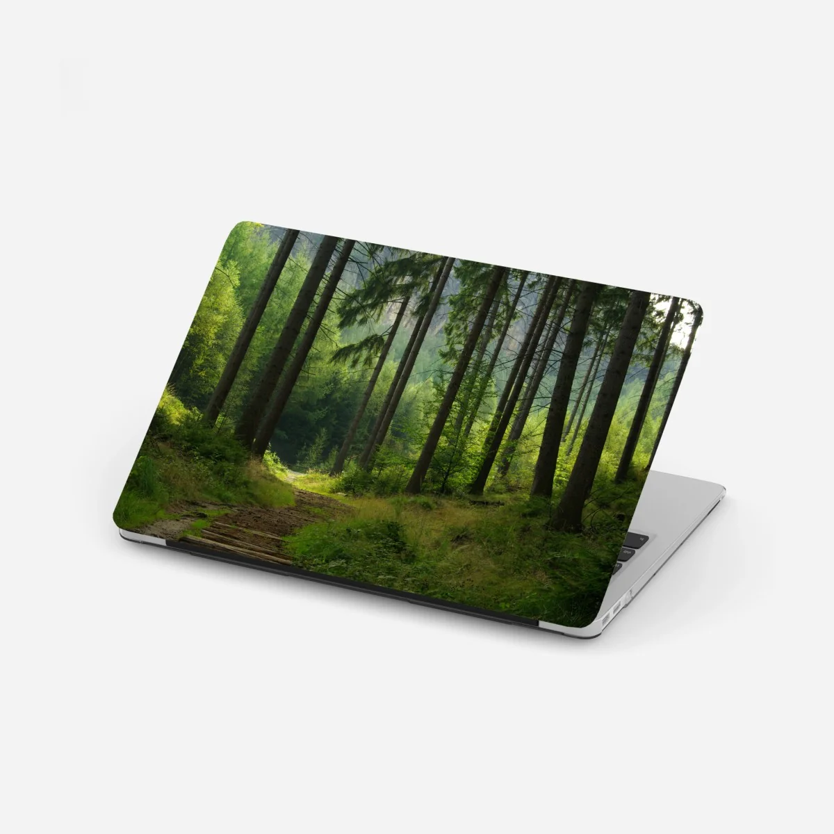Pegatina para portátil sendero en bosque de pinos – Pixers® Pegatina para portátil sendero en bosque de pinos – Pixers®