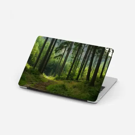 Pegatina para portátil sendero en bosque de pinos – Pixers®