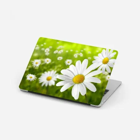 Pegatina para portátil margaritas en pradera verde – Pixers®