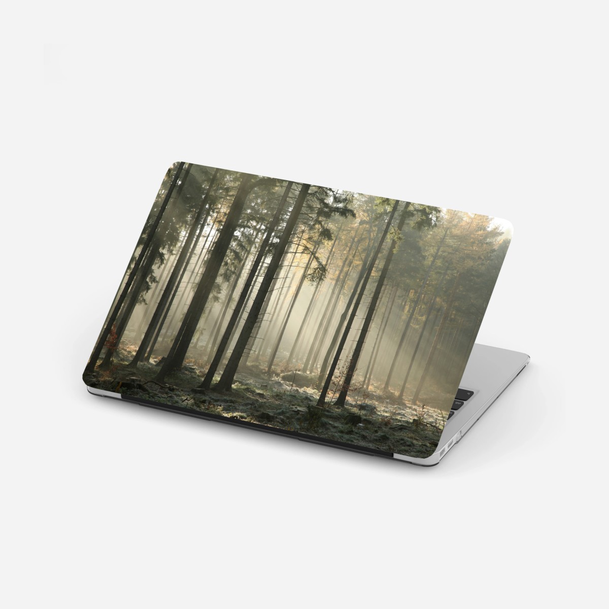 Pegatina para portátil bosque brumoso al amanecer – Pixers®