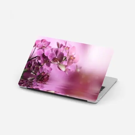 Pegatina para portátil orquídeas rosadas en reflejo acuático – Pixers®