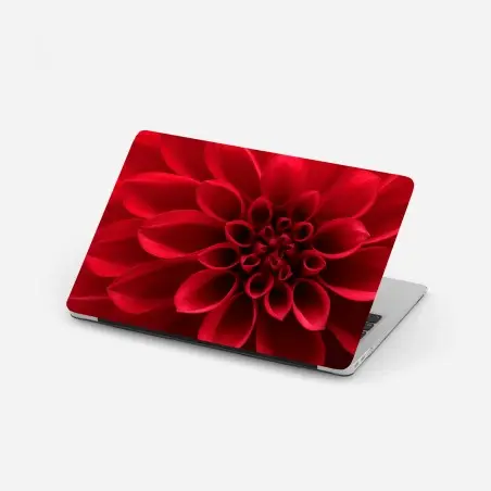 Pegatina para portátil dalia roja en primer plano – Pixers®